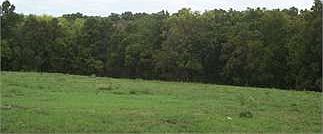 5th image of 19689 State Highway B