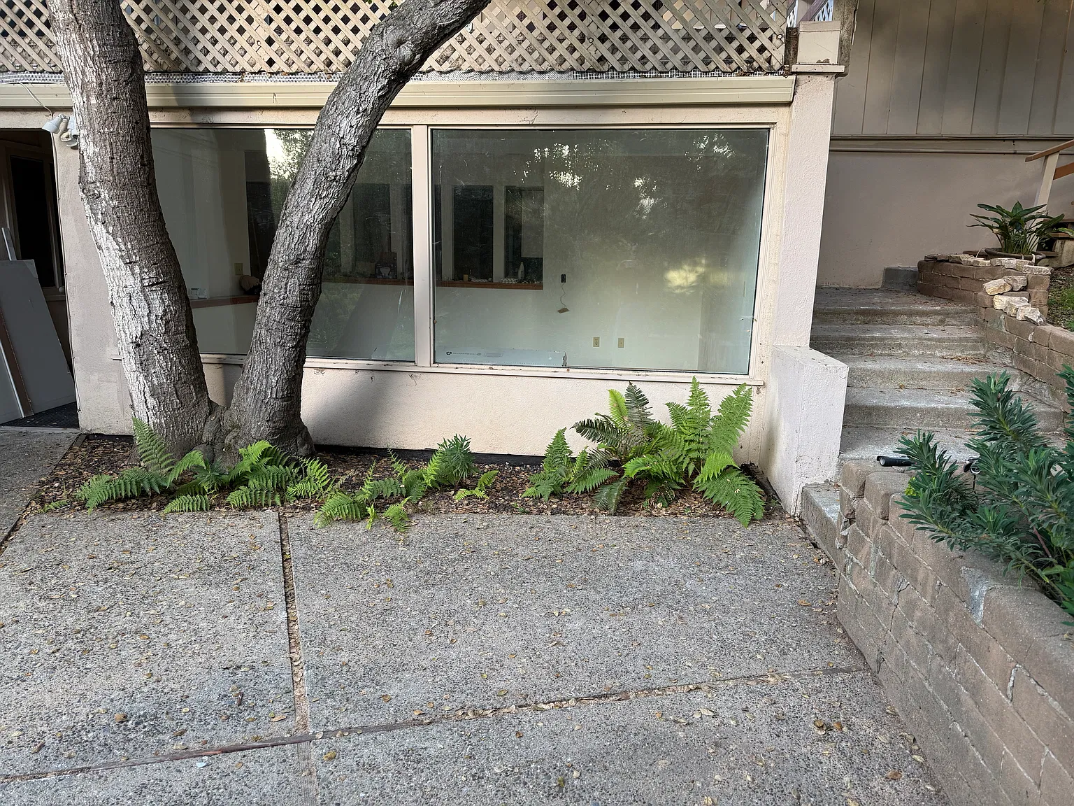 2 bed, 980 sqft, $3,950 — Photo 4