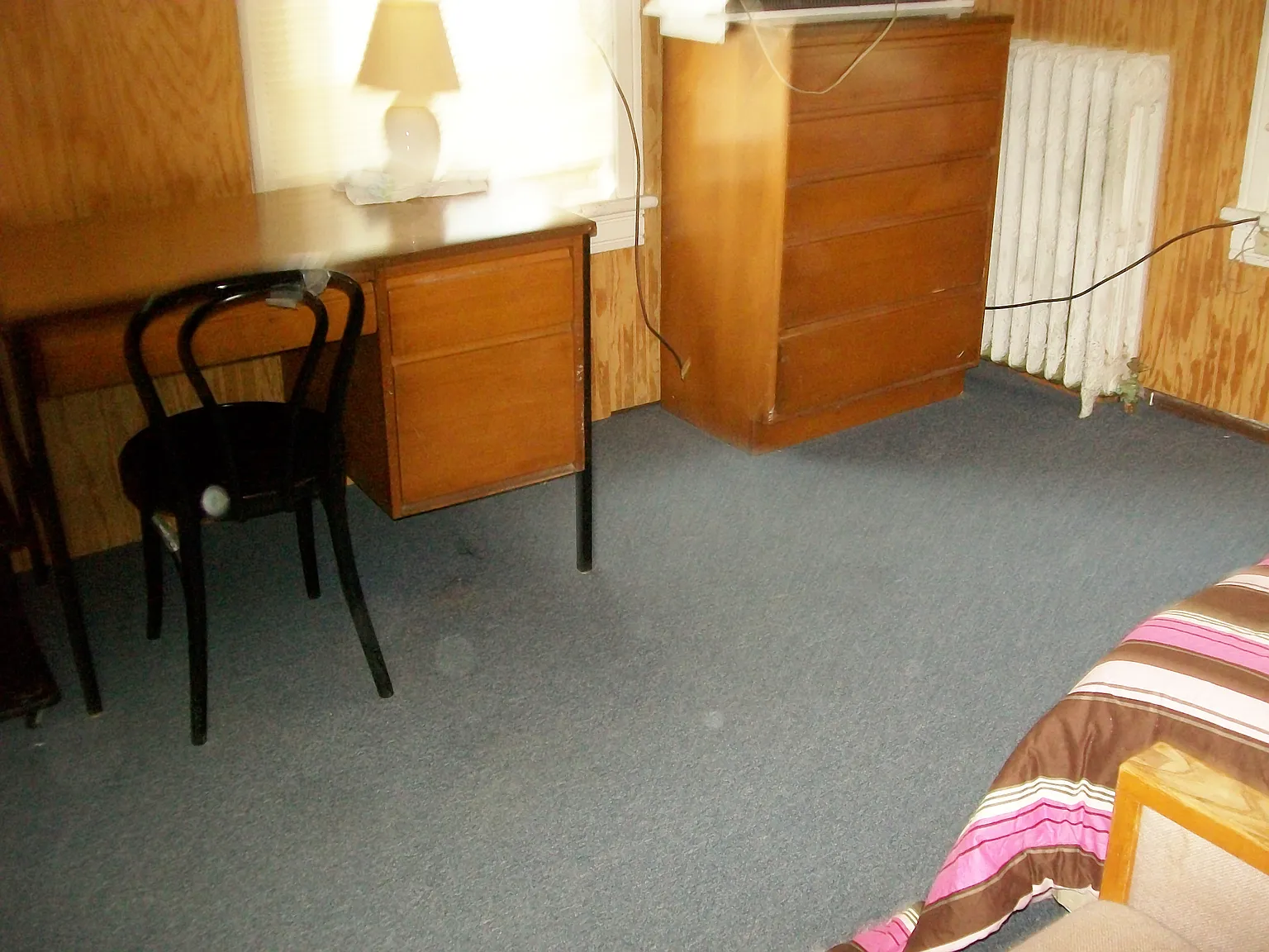 1 bed, 220 sqft, $775 — Photo 1