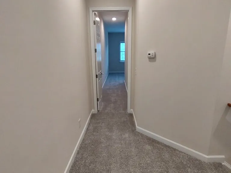 3350 Pampas Dr — Photo 9