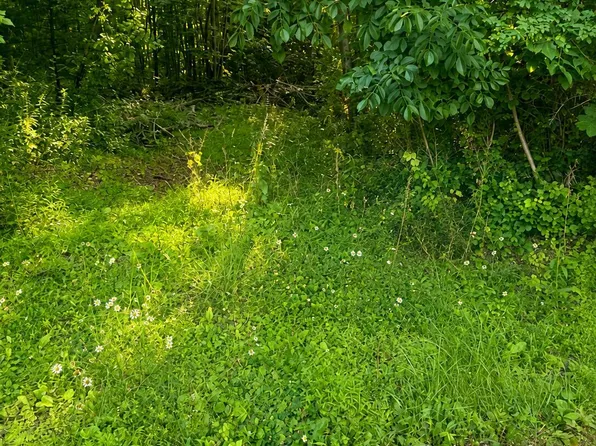 Charles Ct Lot 45, Brodheadsville, PA 18322