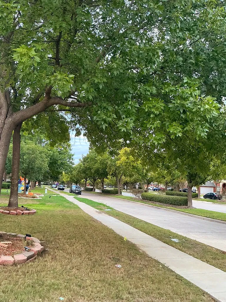 4 bed, 3914 sqft, $4,299 — Photo 4