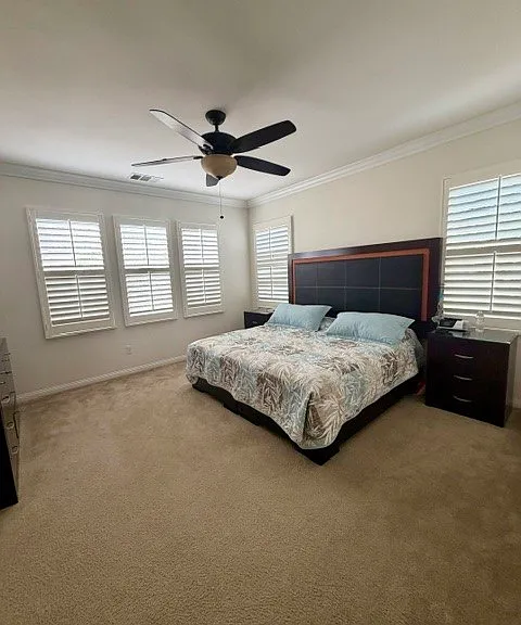 428 Campestre Ln — Photo 18
