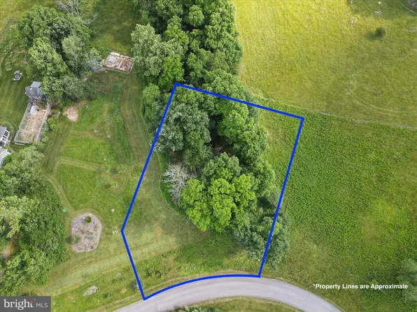 Briar Mountain Dr, Shepherdstown, WV 25443
