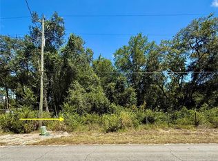 12 Lake Dr LOT 1200, Eustis, FL 32736