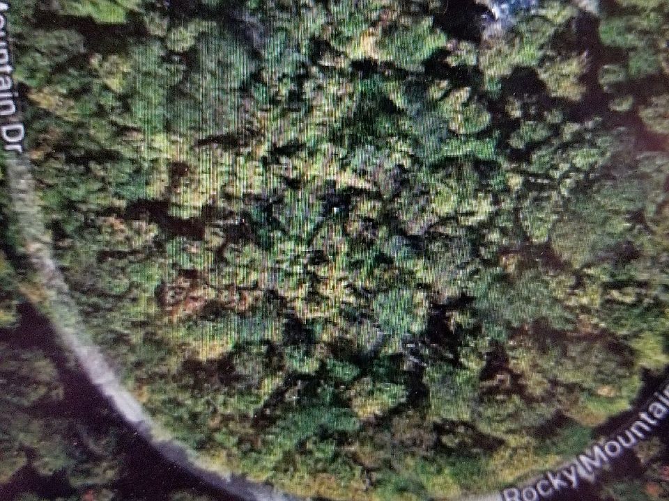 1st image of Rocky Mountain Dr