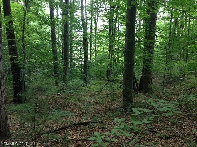1st image of 10 Stone Crest Mountain Dr #10