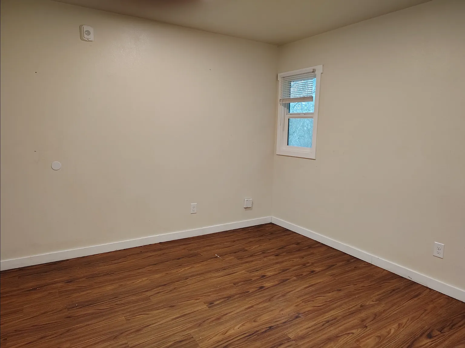 Studio, 5000 sqft, $745 — Photo 1