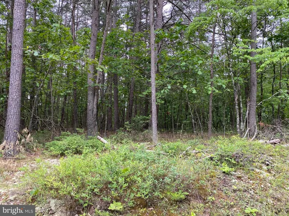 LOT 15 E Four Seasons Ln, Gore, VA 22637