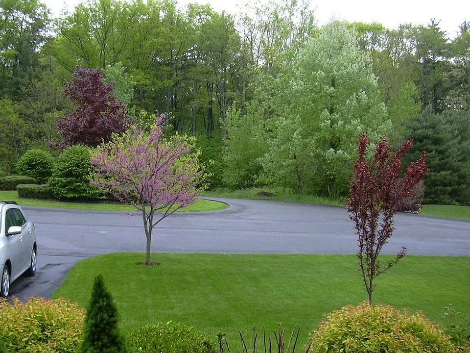 Front yard view from porch