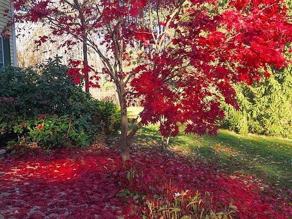 2nd image of 28 Springfield Dr