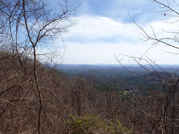 3rd image of 32 Wolf Knob Smt