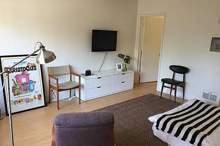 Studio, 450 sqft, $1,875 — Photo 3