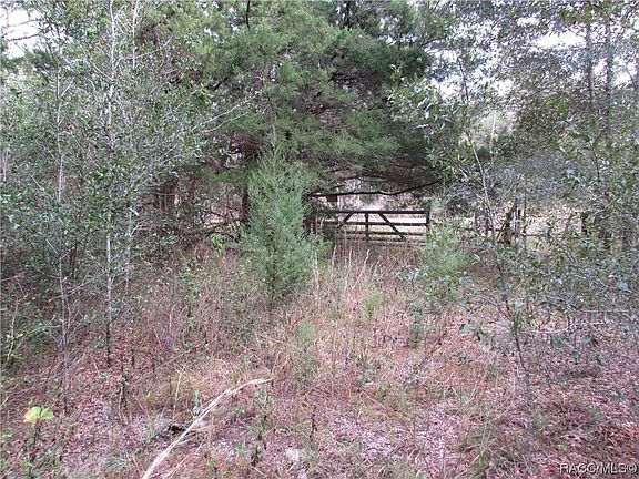 5th image of 10264 S Lecanto Hwy