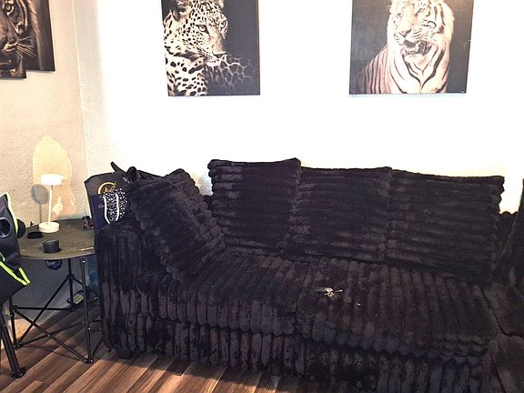 3rd image of 1092 Talley Pl
