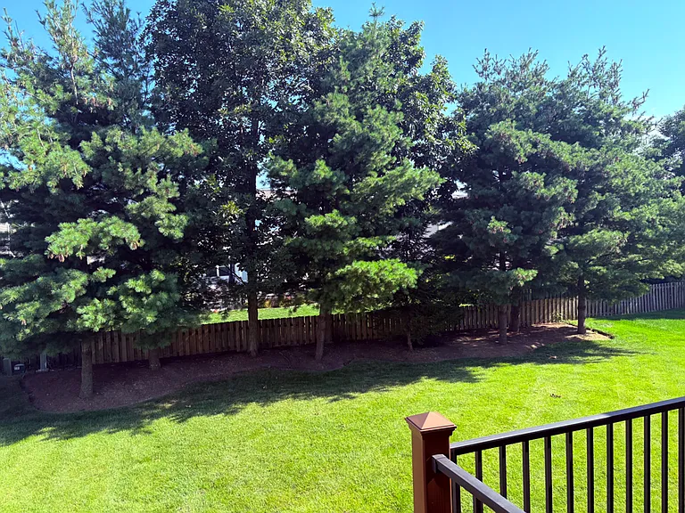 1681 Little Bear Loop — Photo 21