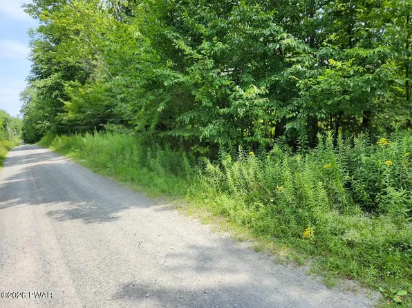Rotten Rd, Equinunk, PA 18417