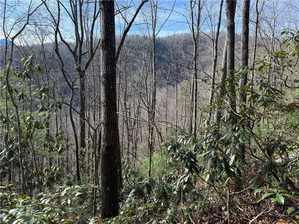 TBD Little Rock Canyon Road, Lenoir, NC 28645