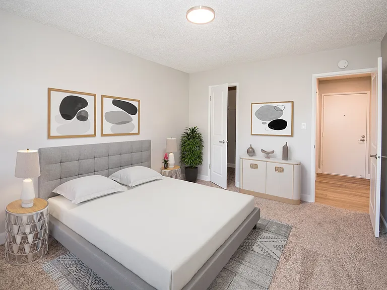 Carpeted bedroom with ample storage space