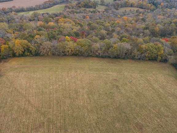 2nd image of 1555 Old Elkton Pike