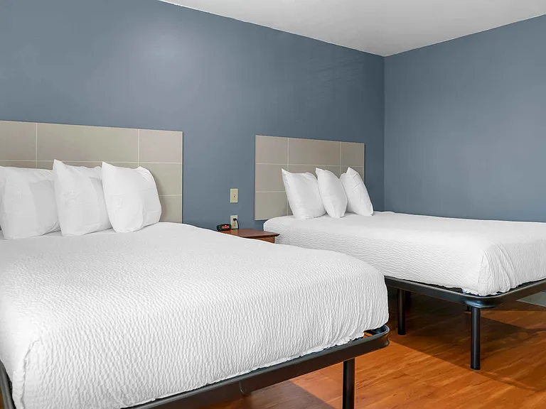 Studio Suite - 2 Full Beds