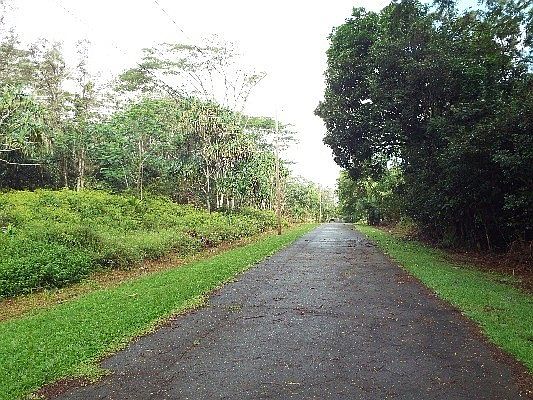 3rd image of Ohiki St Lot 1480