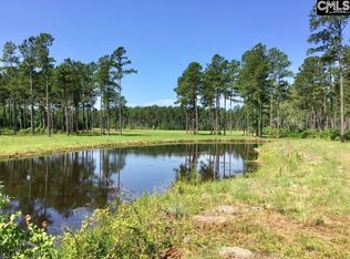 8933 Old Pee Dee Rd, Hemingway, SC 29554