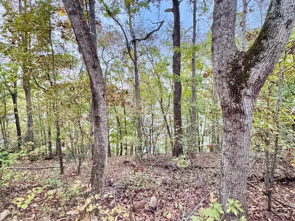 0 Kewanee Ln #13 & 14, Lincoln, AL 35096