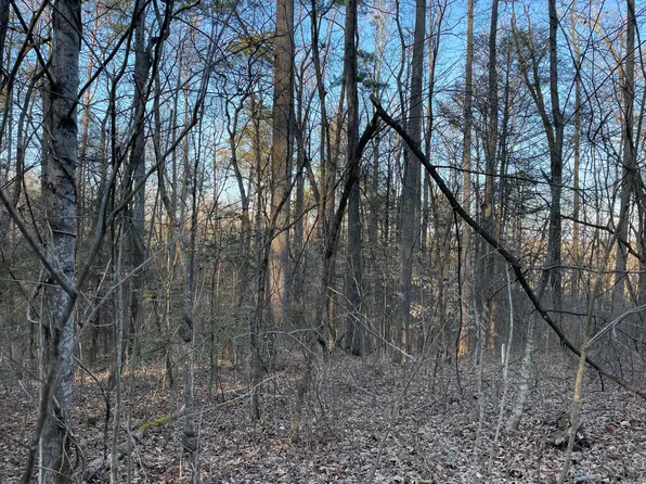8 Acres Cosby Hwy, Cosby, TN 37722