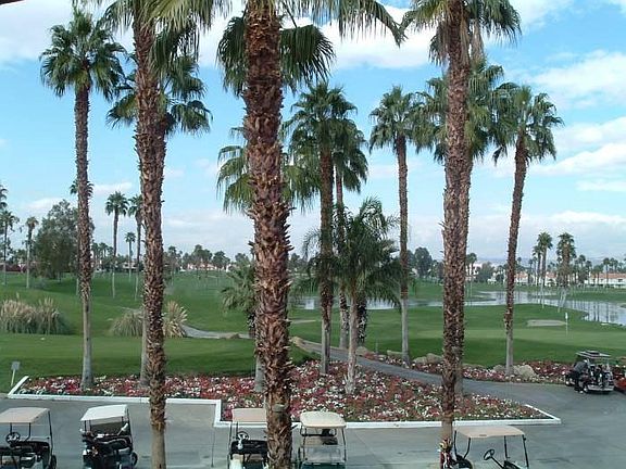 View From Club House