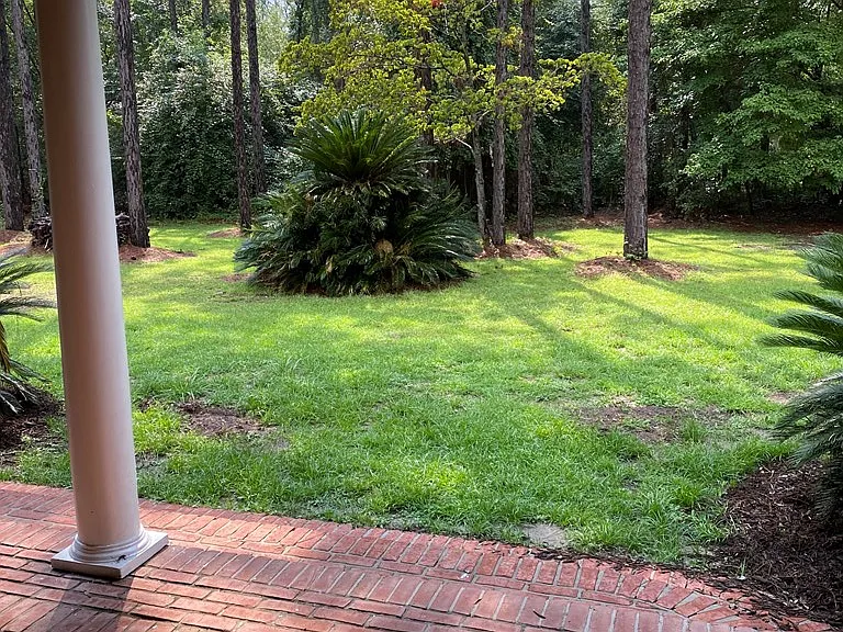 1499 Shrine Club Rd — Photo 40