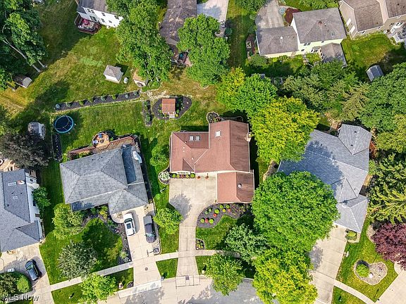 5th image of 9884 Forestview Dr
