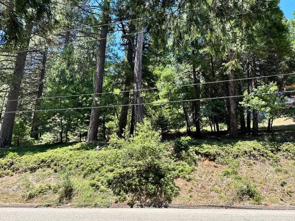 Pine Cone Dr, Pollock Pines, CA 95726