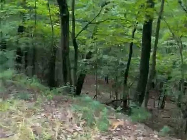 3018 Hickory Ln #3018, Shickshinny, PA 18655