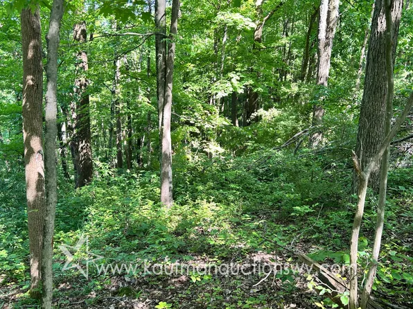 0 Hoyt Ridge Rd, Littleton, WV 26581