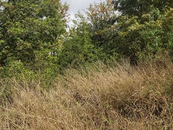 5th image of 92-1725 Keaka Pkwy Lot 34