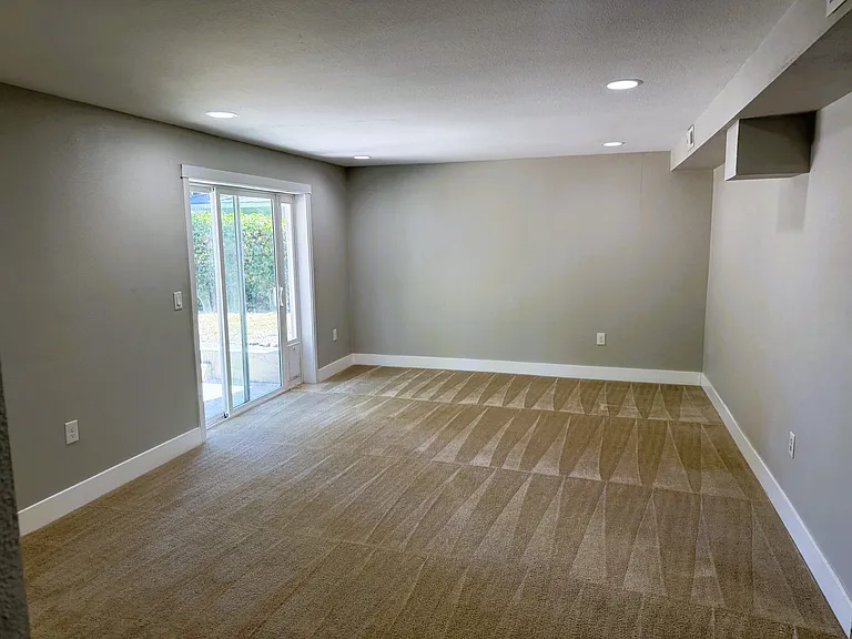 downstairs family room with pet door