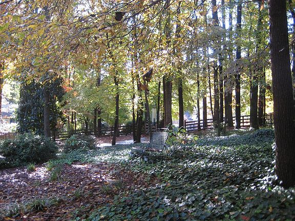 View of Back Fenced Back Yard