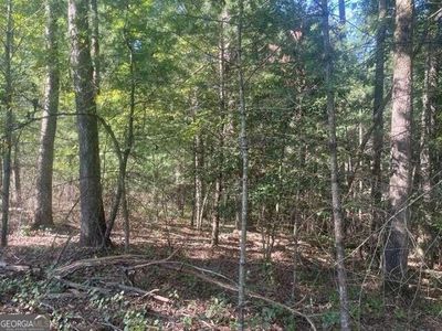 14 Clear Creek Trl, Ellijay, GA, 30536