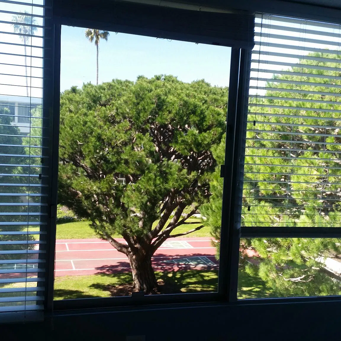 32735 Seagate Dr — Photo 4