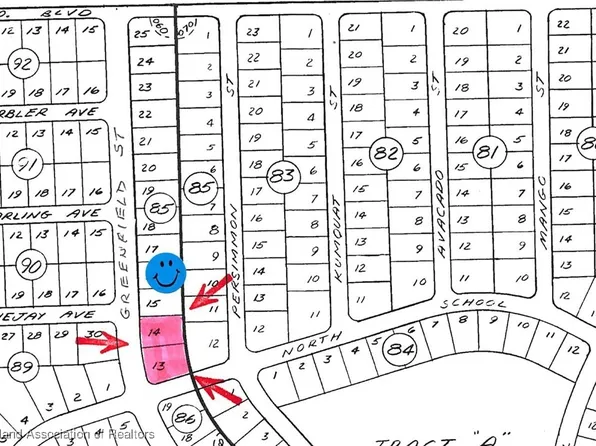 1243 Greenfield St, Lake Placid, FL 33852