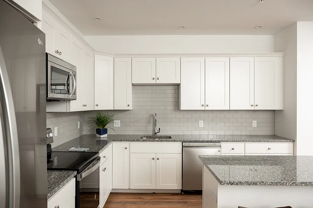 2 bed, 2.0 bath, 1660 sqft, $3,250 — Photo 4