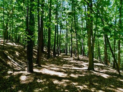 Buck Run Rd, Grove, OK, 74344