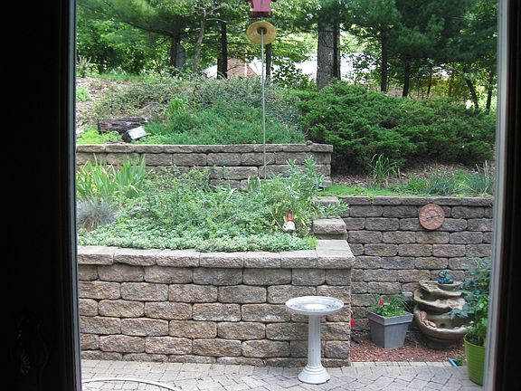 View from kitchen