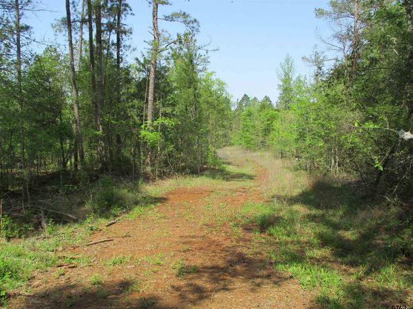 0 County Road 461 S, Laneville, TX 75667