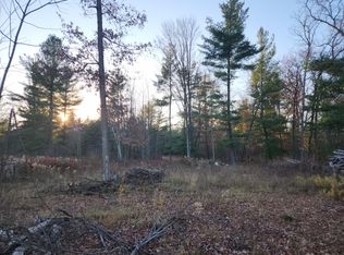 1297 Gunn Ln, Morley, MI 49336