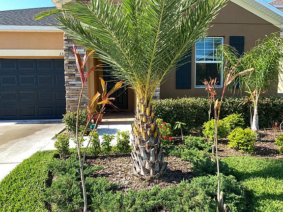 3rd image of 11756 Winterset Cove Dr