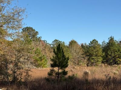 6 State Park Rd, Windsor, SC, 29856