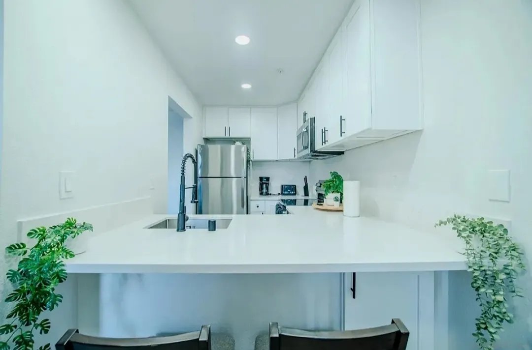1 bed, 668 sqft, $5,000 — Photo 3
