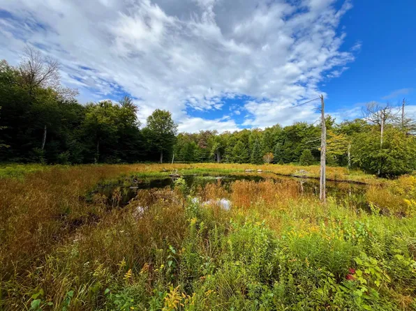 0 Twin Ponds Dr #81, Malone, NY 12953
